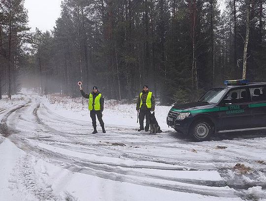 Holender przewoził migrantów osobowym mercedesem