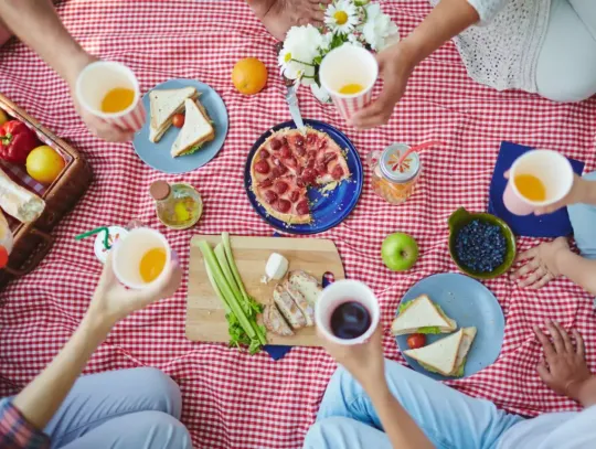 Jak zorganizować idealny piknik rodzinny? Czy hurtownia słodyczy to dobre źródło przekąsek?