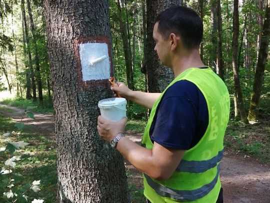 Krzywe: trwa znakowanie zielonego szlaku rowerowego