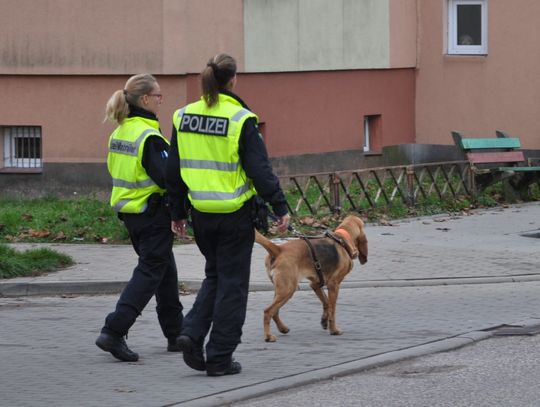 Kto poderżnął gardło 68-letniej kobiety? Sprawcy szukają specjalne psy z Niemiec