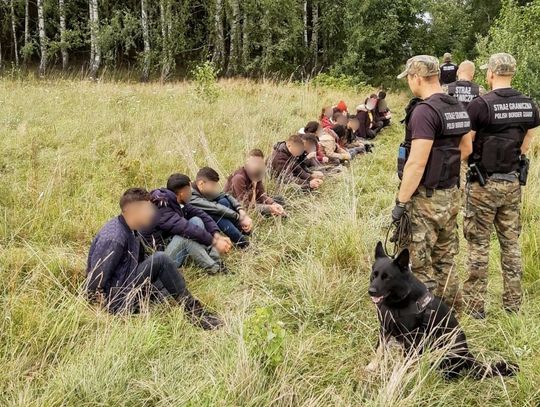 SG zatrzymała blisko 350 cudzoziemców na polsko-białoruskiej granicy