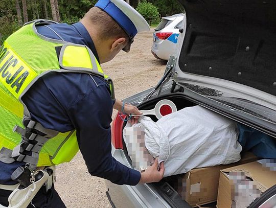 Suwałki: 40-latek miał w bagażniku 1300 paczek nielegalnych papierosów