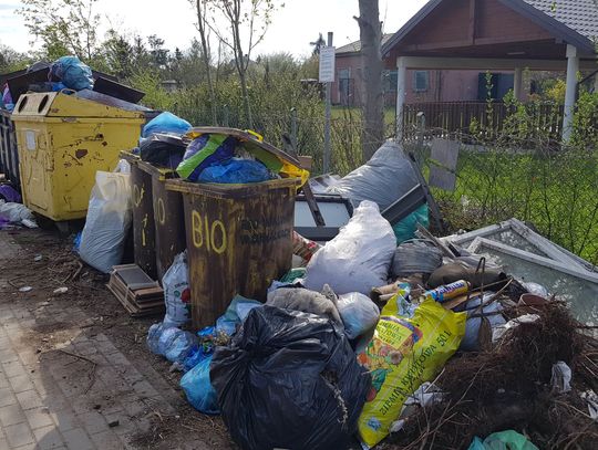 Suwałki: pełno śmieci na działkach Malwa (foto)