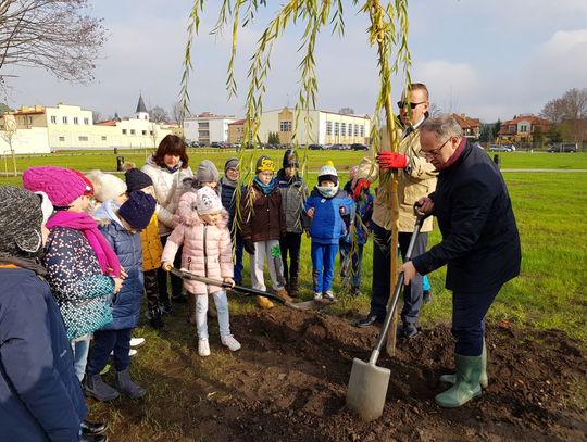 Suwałki: posadzili 102 drzewa na bulwarach przy Czarnej Hańczy (foto+video)