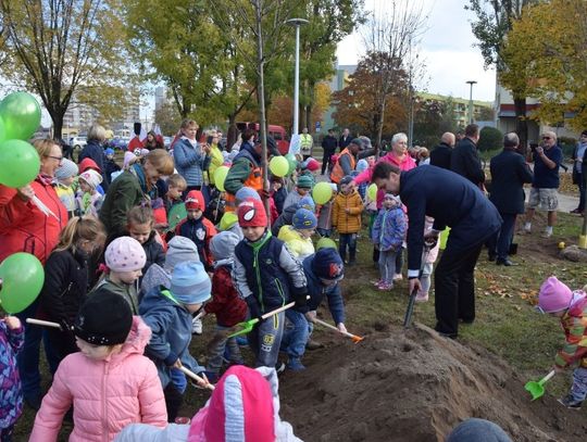 Suwałki: w czwartek można pomóc sadzić drzewa przy bulwarach