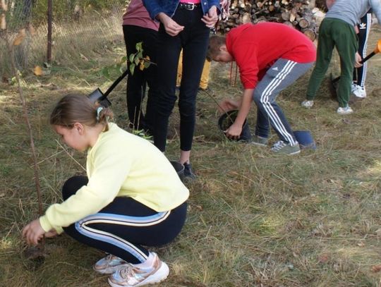 Uczniowie z Bakałarzewa pomogli pszczołom i zasadzili lipy