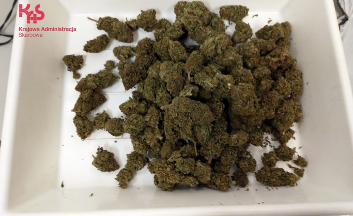 Celnicy znaleźli 100 gramów marihuany w przesyłce kurierskiej