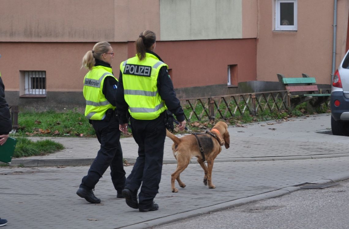 Kto poderżnął gardło 68-letniej kobiety? Sprawcy szukają specjalne psy z Niemiec