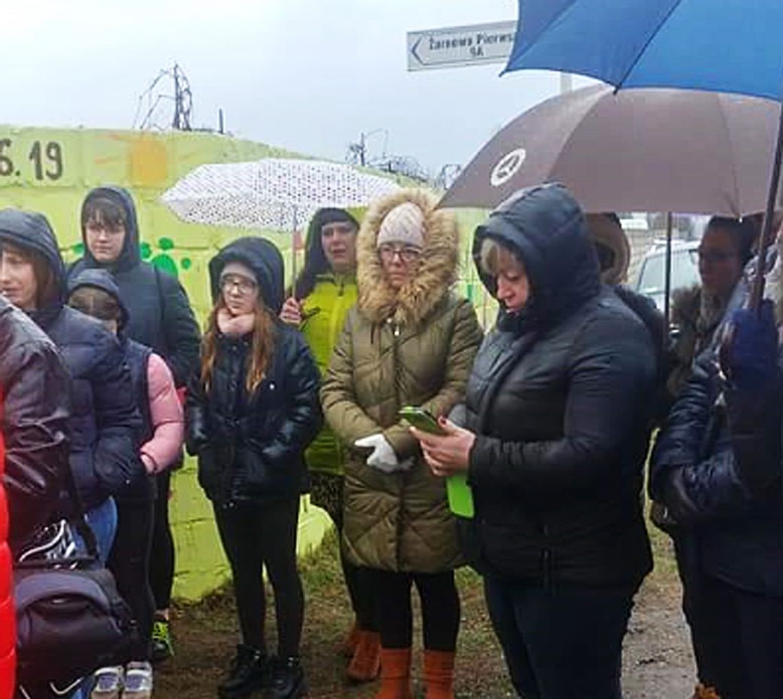 Miłośnicy zwierząt protestowali przeciwko oddaniu psów do "złego schroniska"