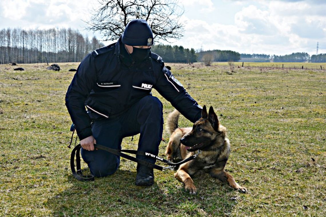 Orkan - to nowy pies w suwalskiej policji