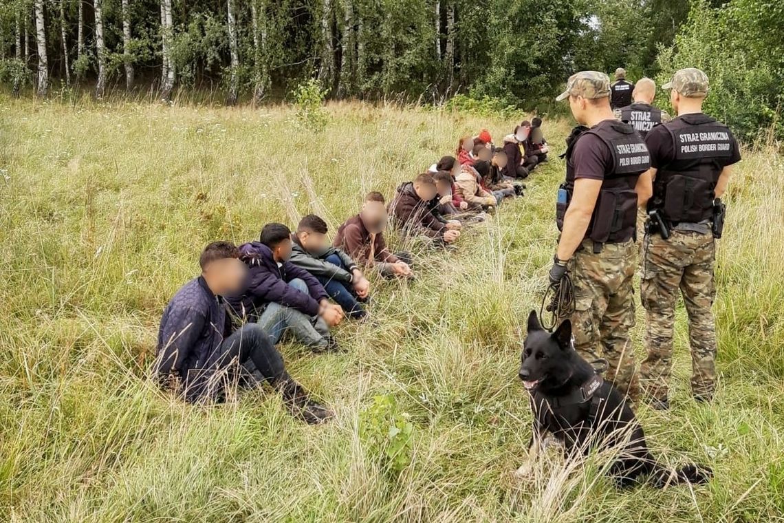 SG zatrzymała blisko 350 cudzoziemców na polsko-białoruskiej granicy