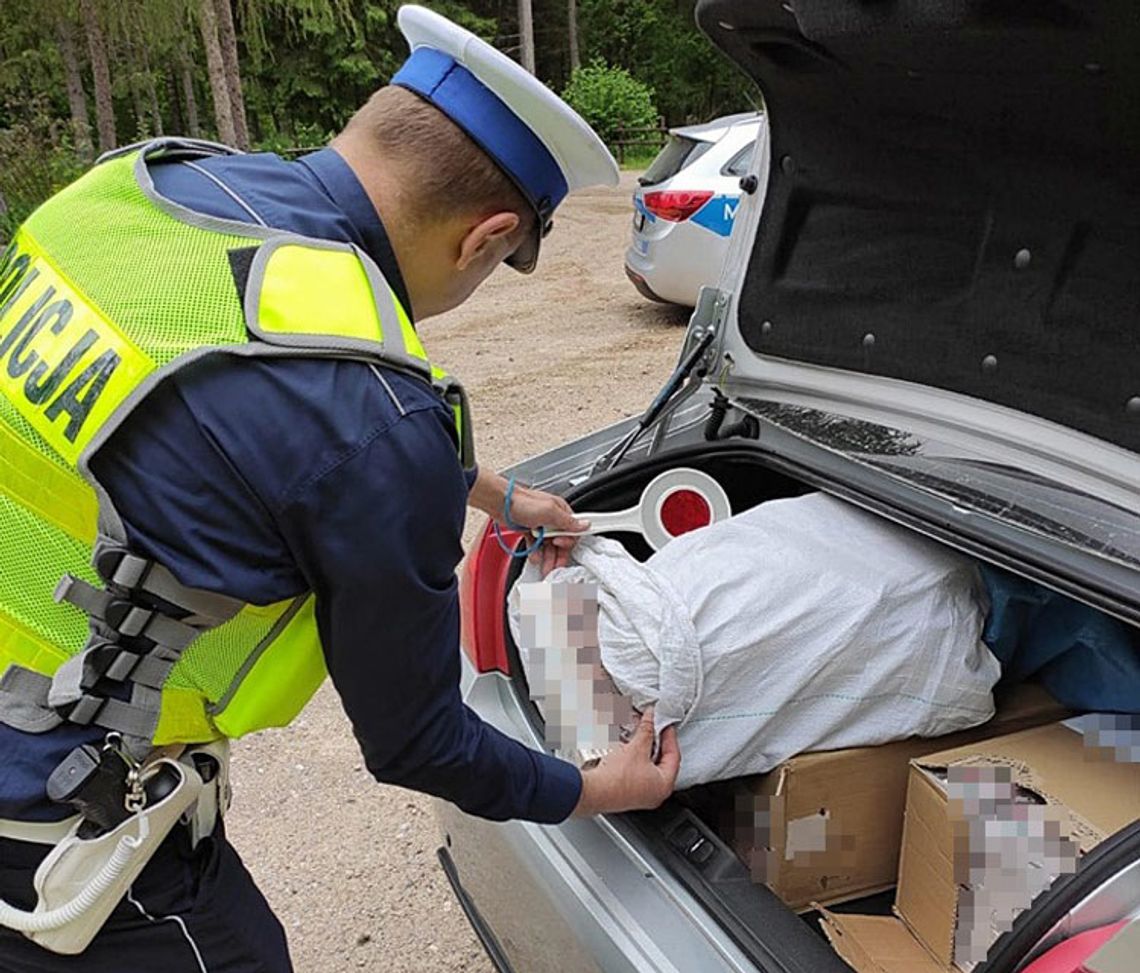 Suwałki: 40-latek miał w bagażniku 1300 paczek nielegalnych papierosów