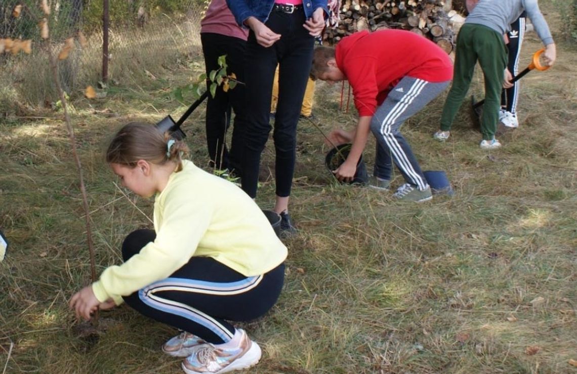 Uczniowie z Bakałarzewa pomogli pszczołom i zasadzili lipy
