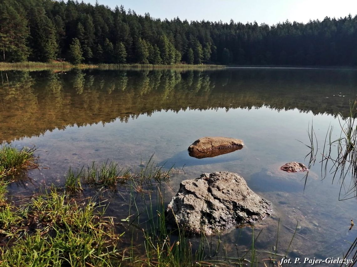 Wigierski park odwiedziła rekordowa liczba turystów